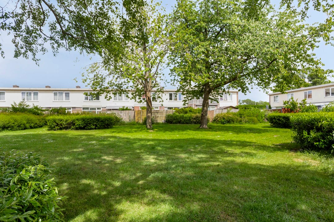 Foto 26 van Cornelis Roobolstraat 49