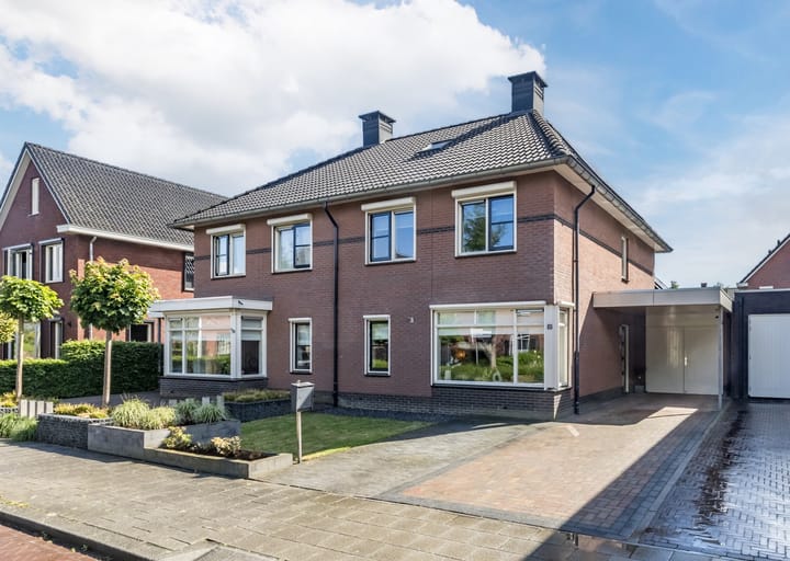 Foto 1 van Penningkruid 15