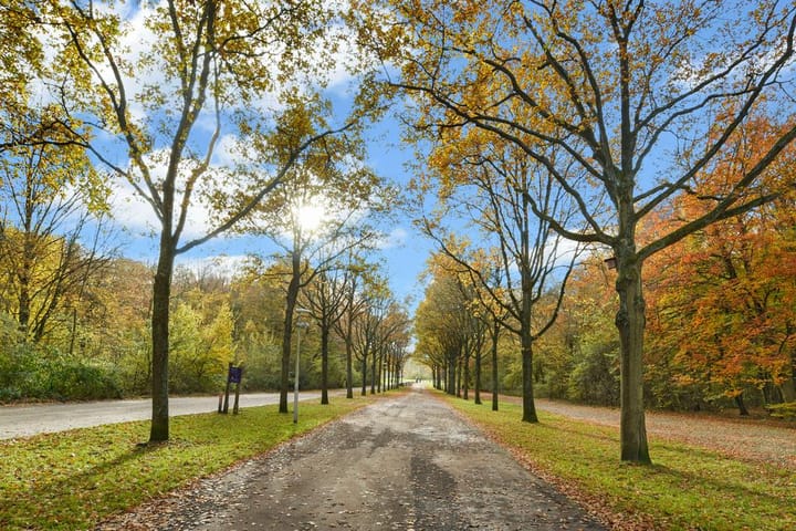 Foto 37 van Amstelveenseweg 577