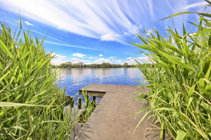 Photo 42 of Tretjakovlaan 110