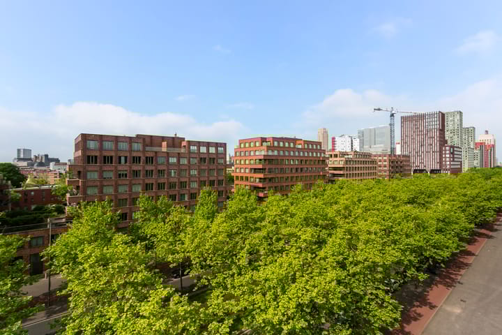 Foto 10 van Laan op Zuid 958