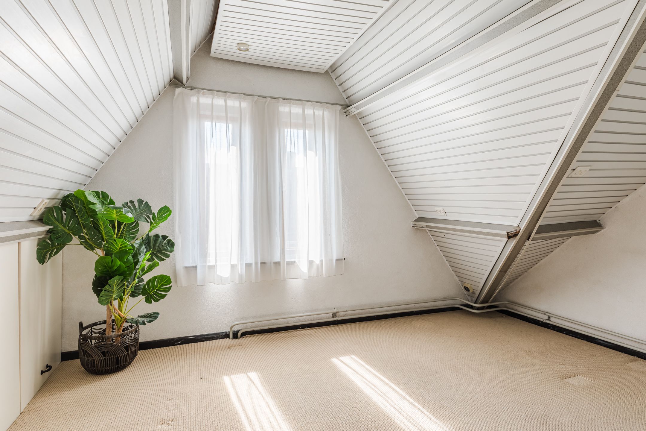 Foto 21 van Bisschop Ophoviusstraat 16