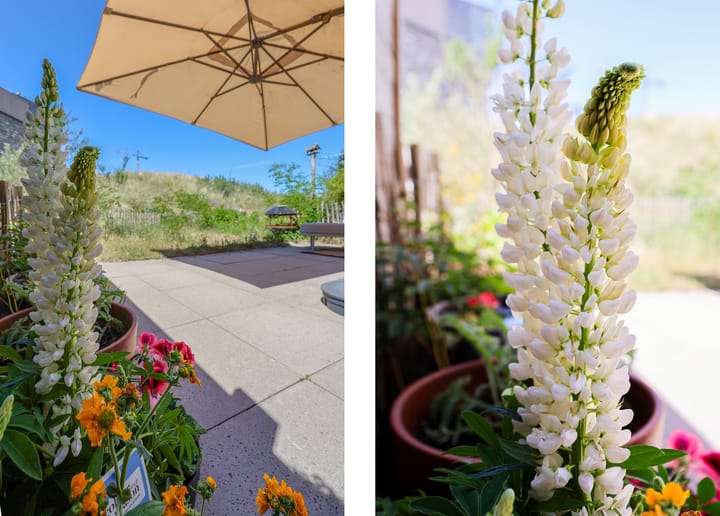 Foto 40 van Duinrugstraat 22