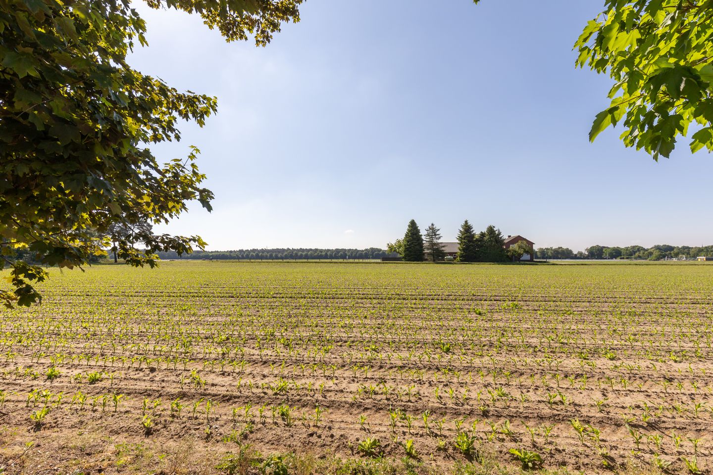 View photo 5 of Veldweg 39