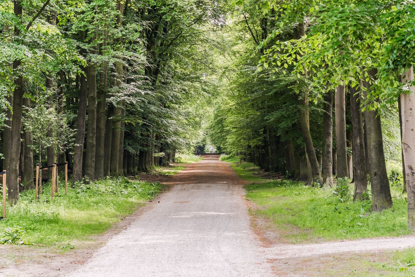 Foto 49 van Oosterdorpsstraat 115