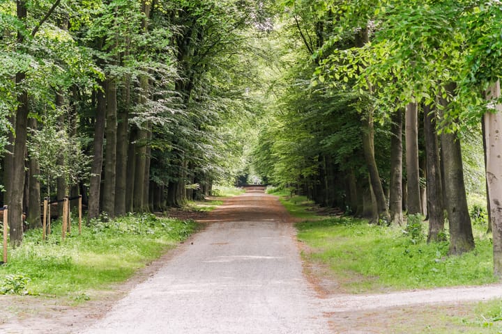 Foto 49 van Oosterdorpsstraat 115