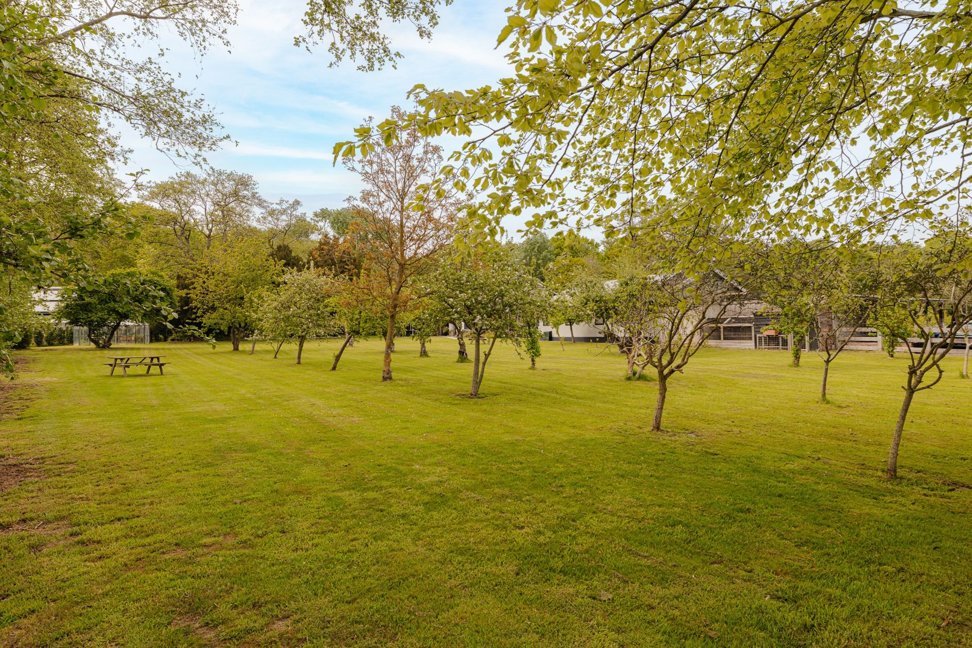 Photo 33 of Herenweg 43