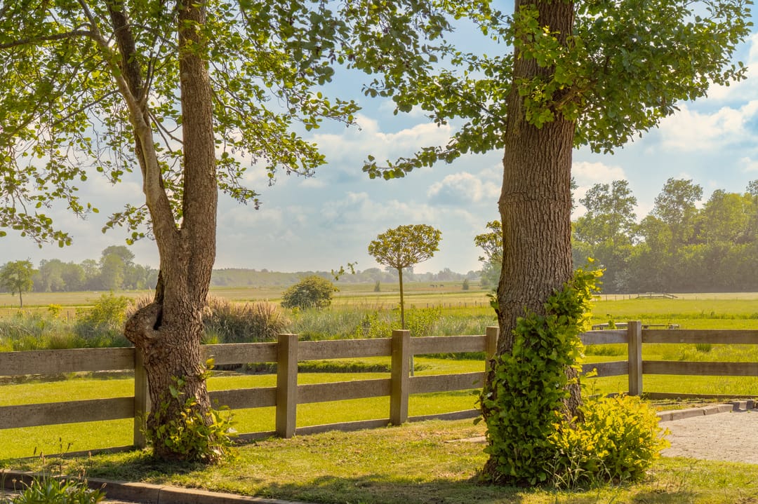 Photo 46 of Herenweg 43