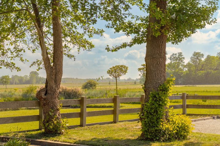 Foto 46 van Herenweg 43