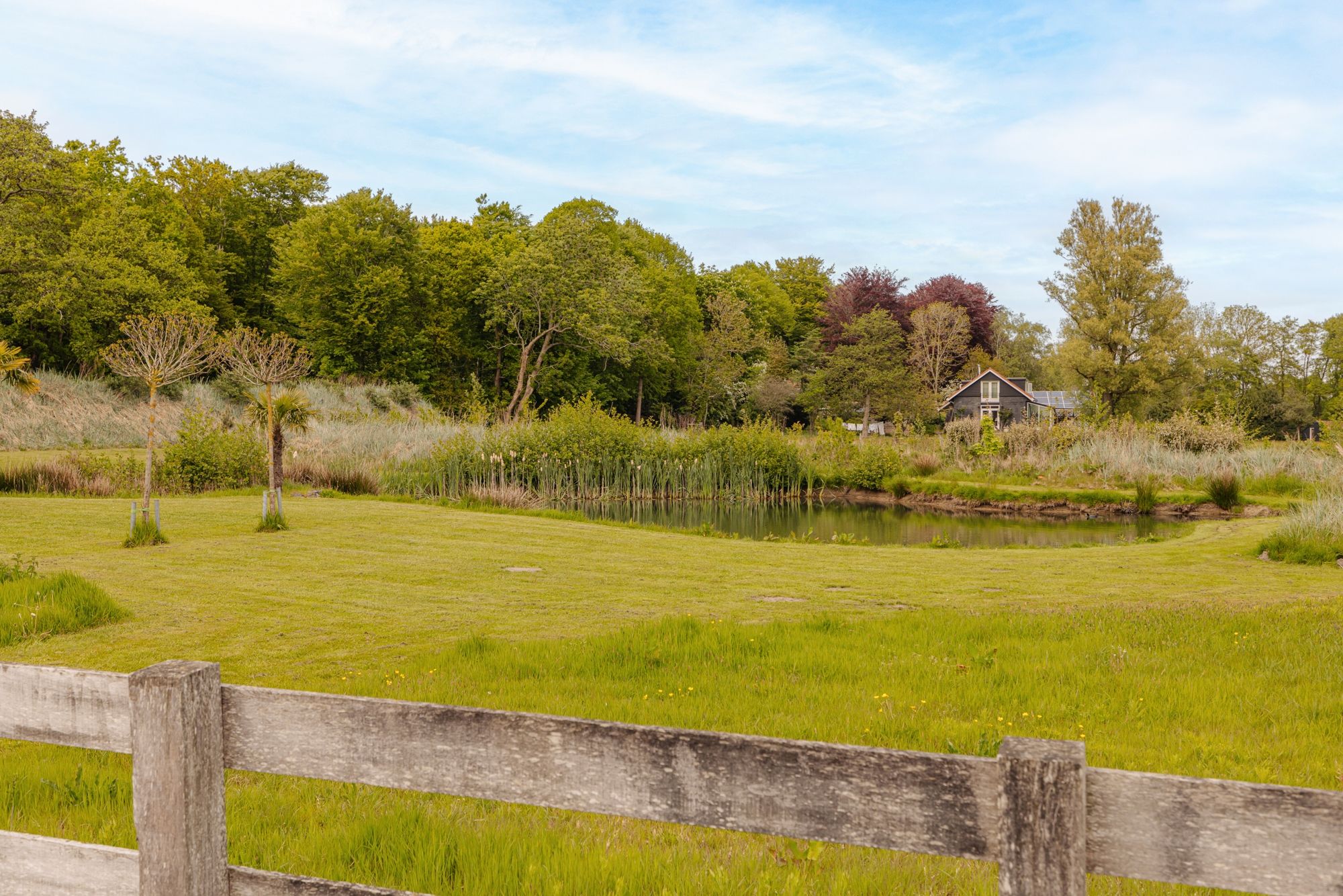 Photo 48 of Herenweg 43