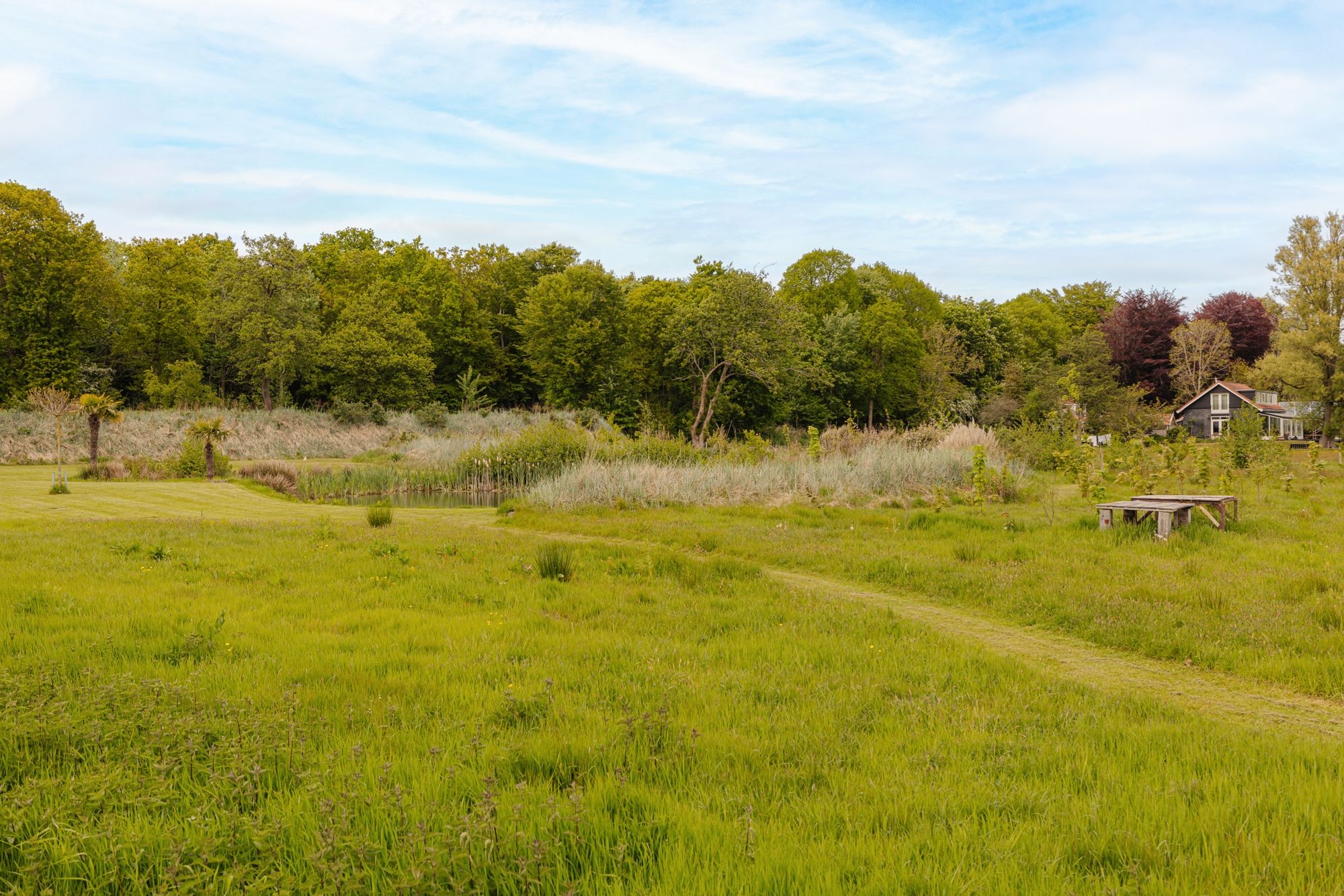 Photo 51 of Herenweg 43