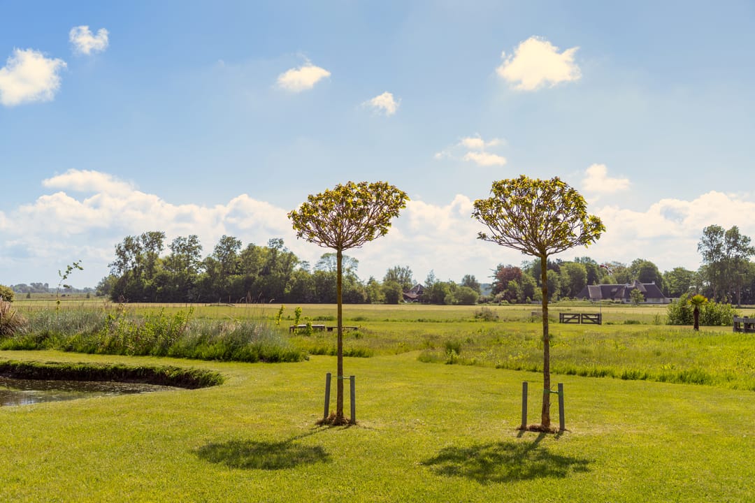 Photo 58 of Herenweg 43