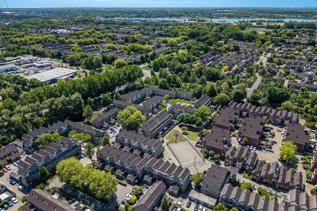 Foto 2 van Antilopespoor 383