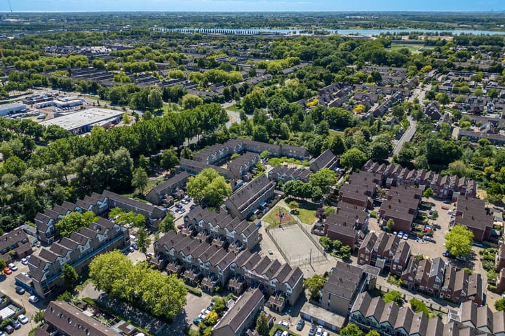 Foto 2 van Antilopespoor 383