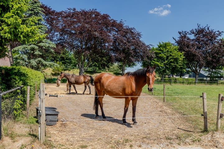 Foto 54 van Effenseweg 98