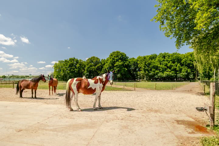 Foto 55 van Effenseweg 98