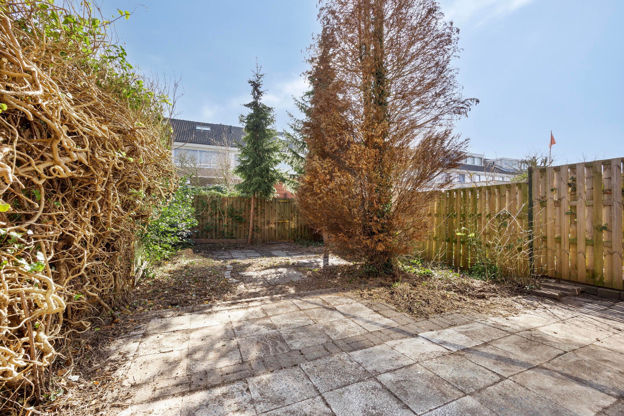 Foto 6 van Meerkoethof 44