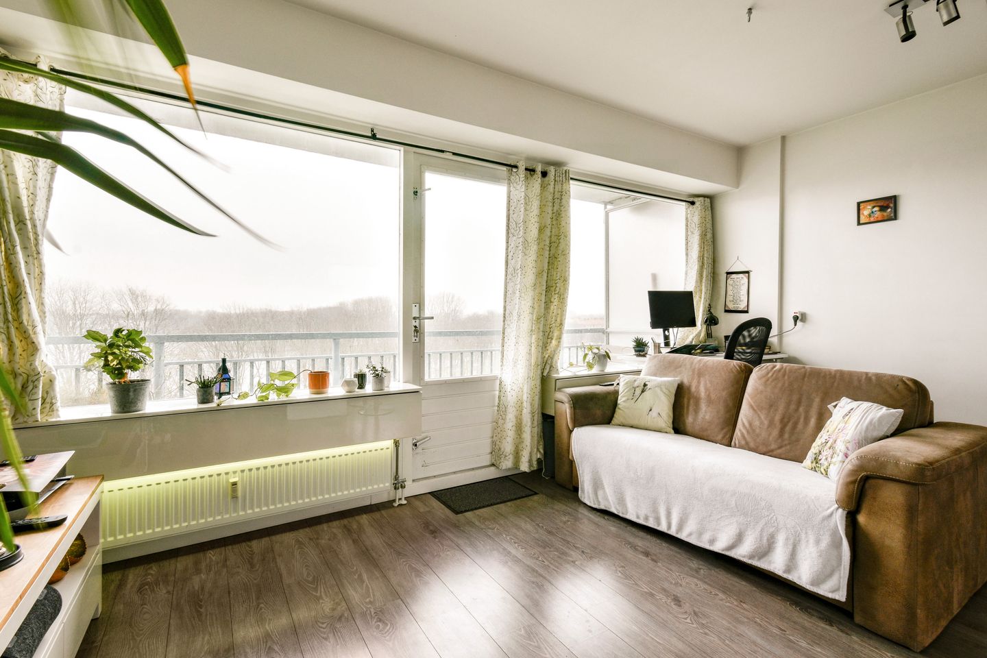 Foto 4 van Burgemeester Hogguerstraat 207