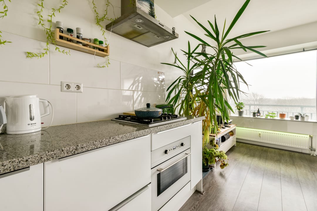 Foto 7 van Burgemeester Hogguerstraat 207