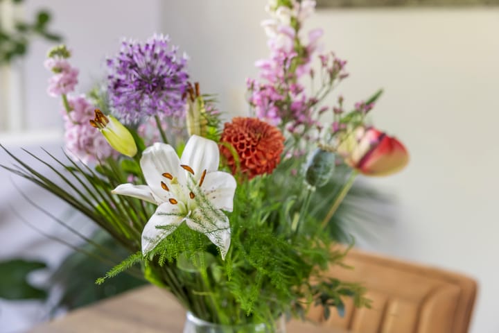 Foto 7 van Chirurgijnstraat 11