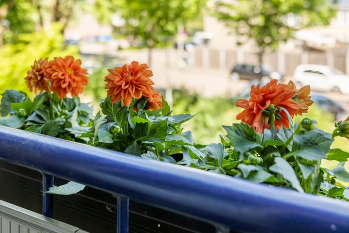 Foto 13 van Chirurgijnstraat 11