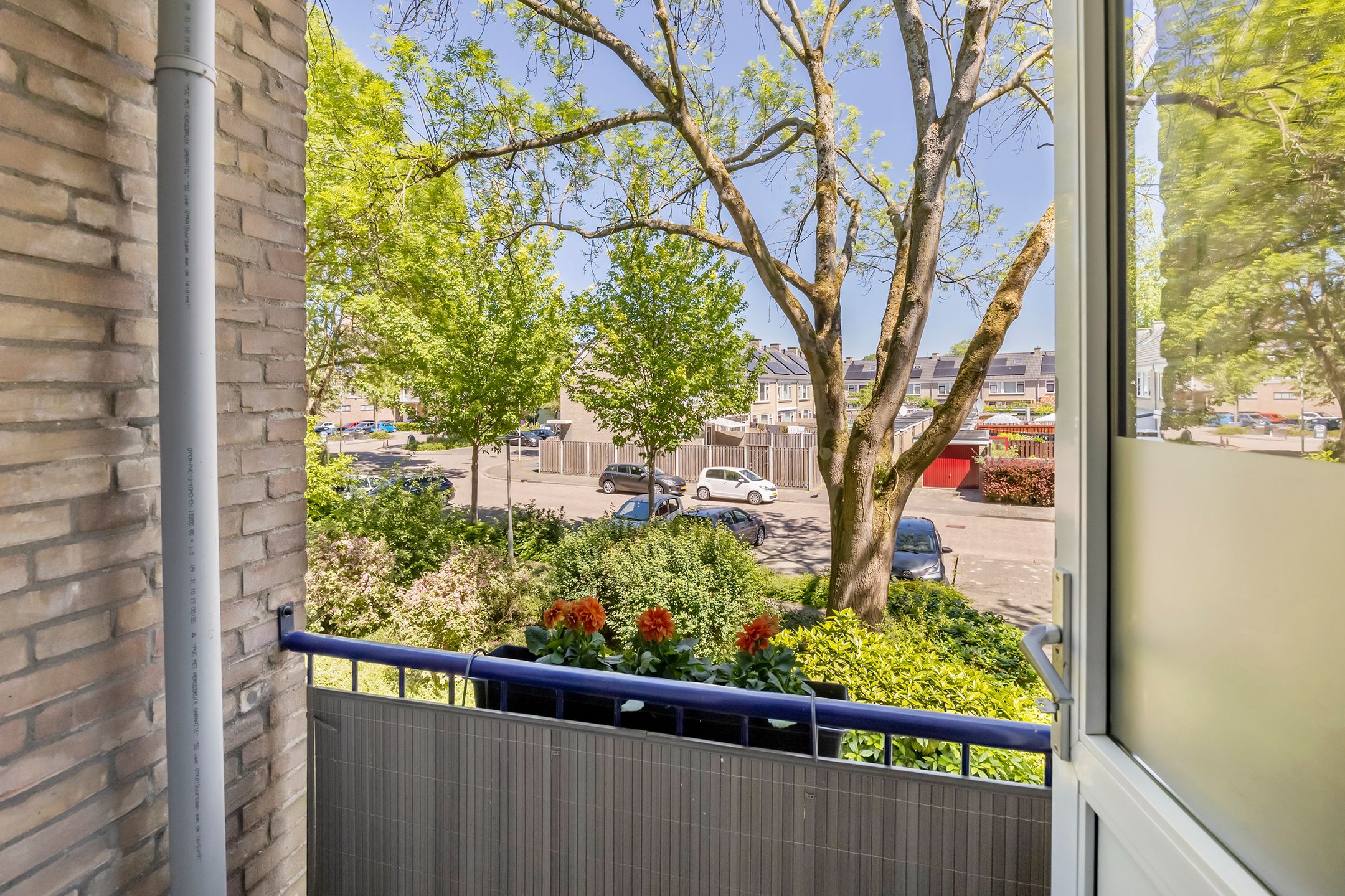 Foto 12 van Chirurgijnstraat 11