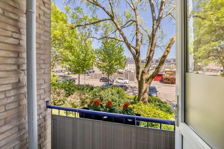 Foto 12 van Chirurgijnstraat 11