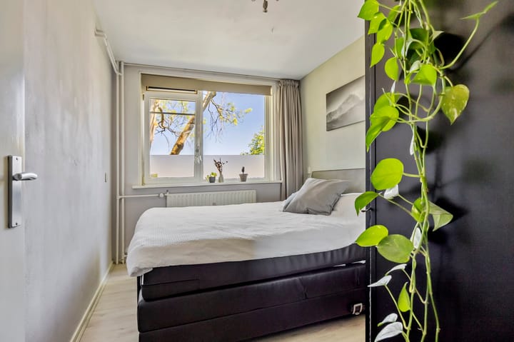 Foto 14 van Chirurgijnstraat 11