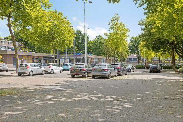 Foto 35 van Oud Amelisweerd 6