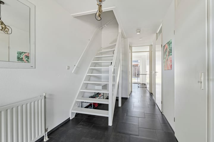 Foto 10 van Waterviolier 96