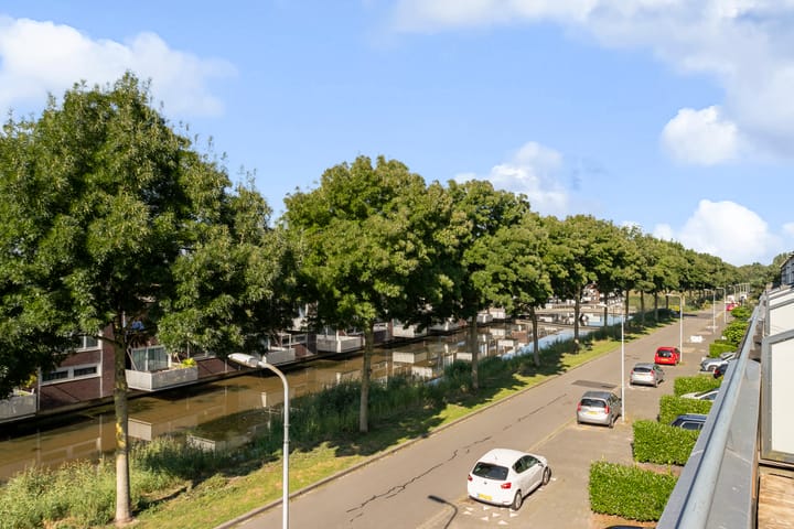 Foto 45 van Waterviolier 96