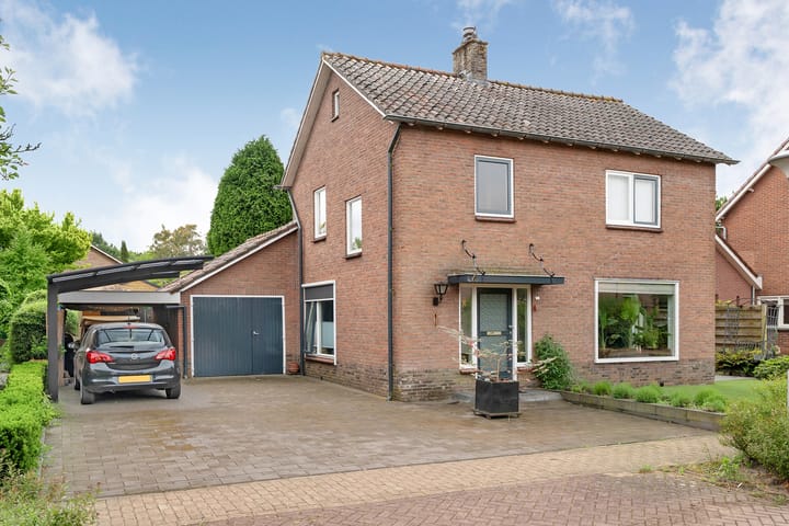 Lodderholt 4