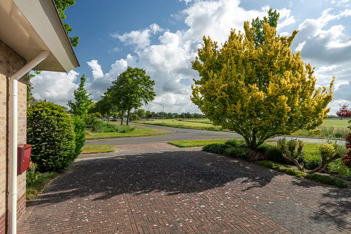 Foto 46 van De Homeie 1