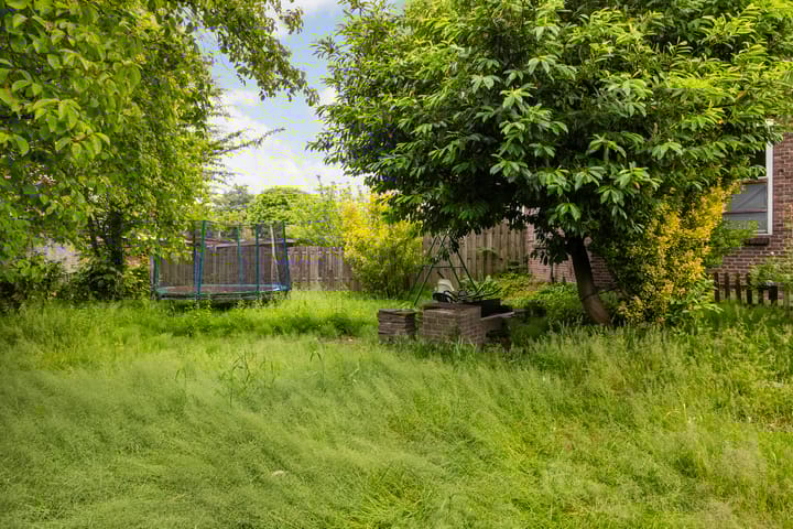 Foto 24 van Hooftstraat 135