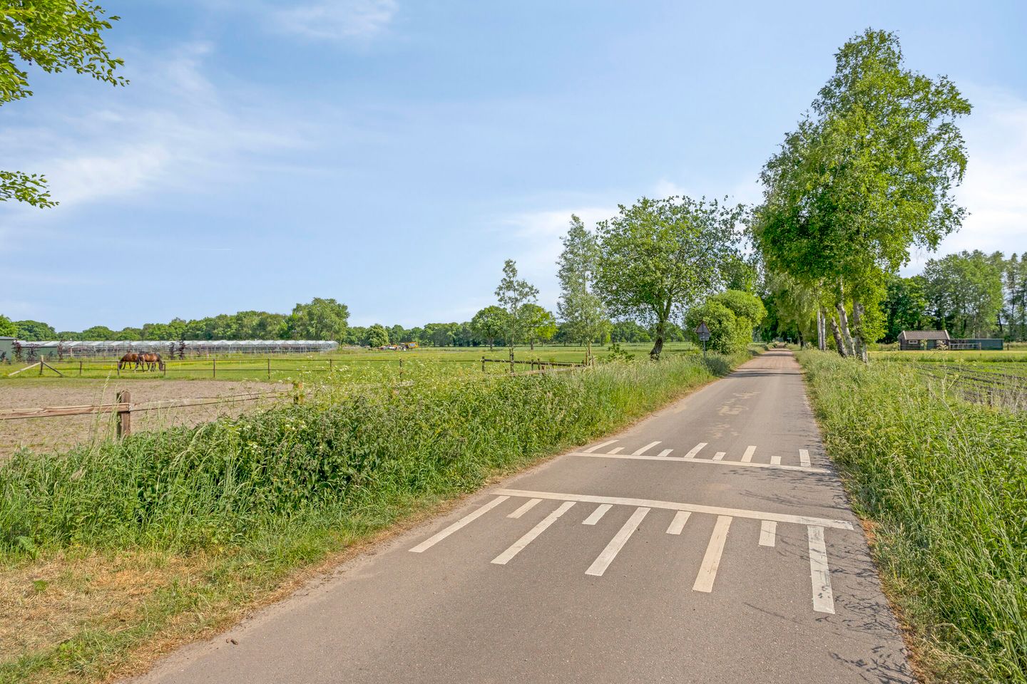 Foto 35 van Enschedesestraat 105