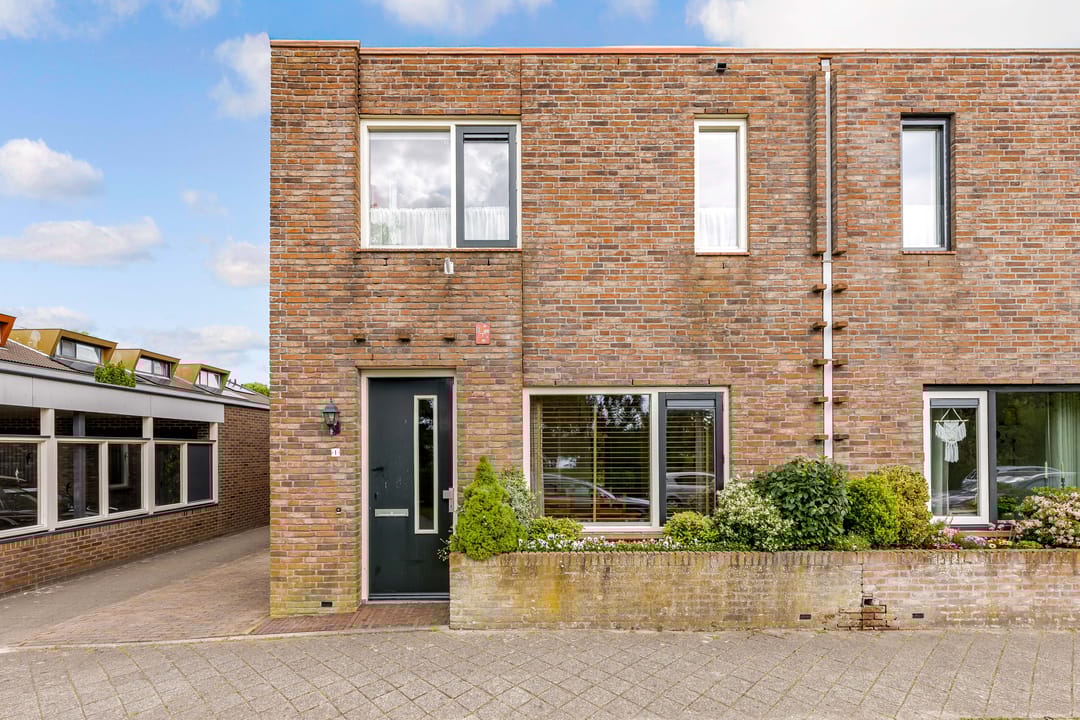 Foto 37 van Zeedistel 1