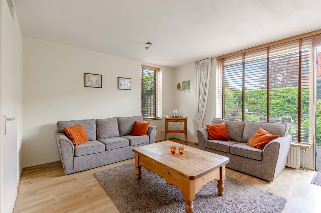 Foto 2 van Zeedistel 1