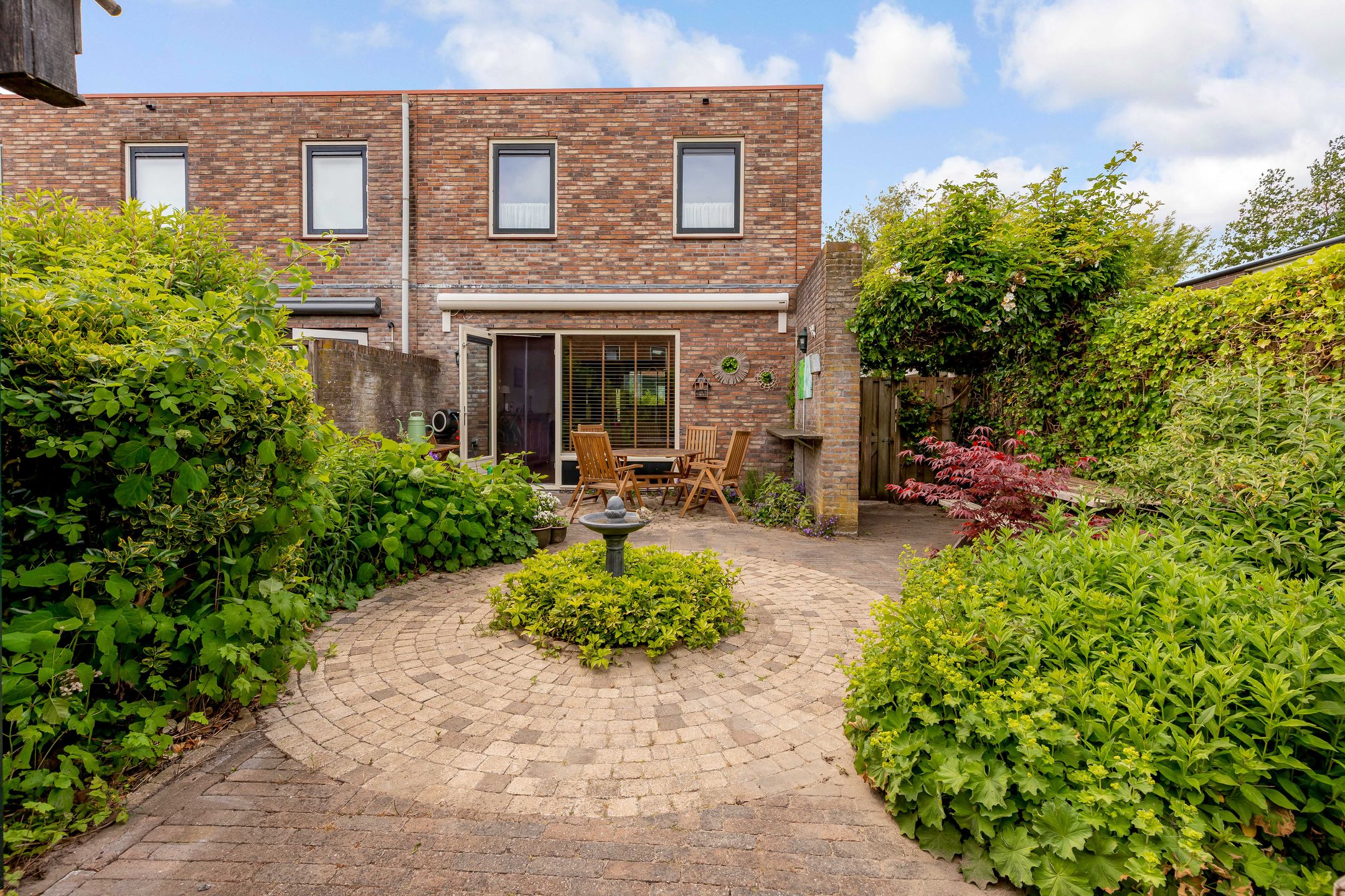 Foto 3 van Zeedistel 1