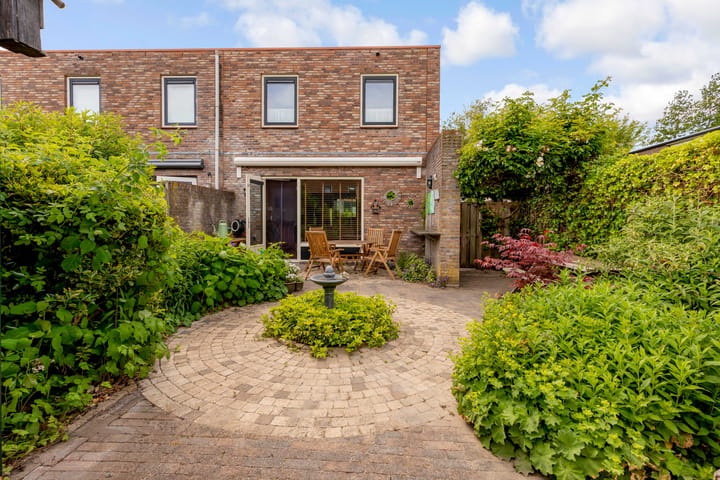 Foto 3 van Zeedistel 1