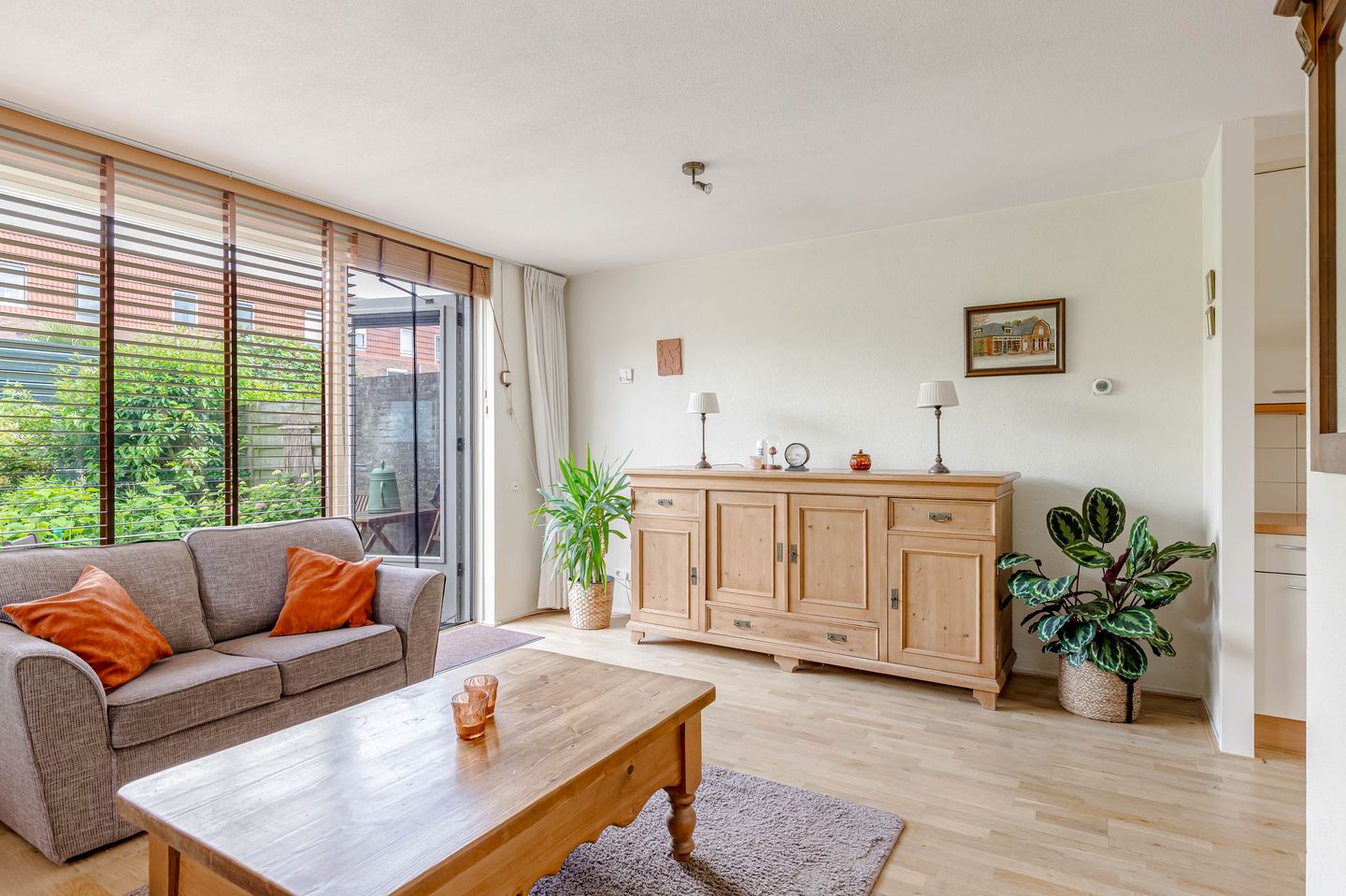 Foto 5 van Zeedistel 1