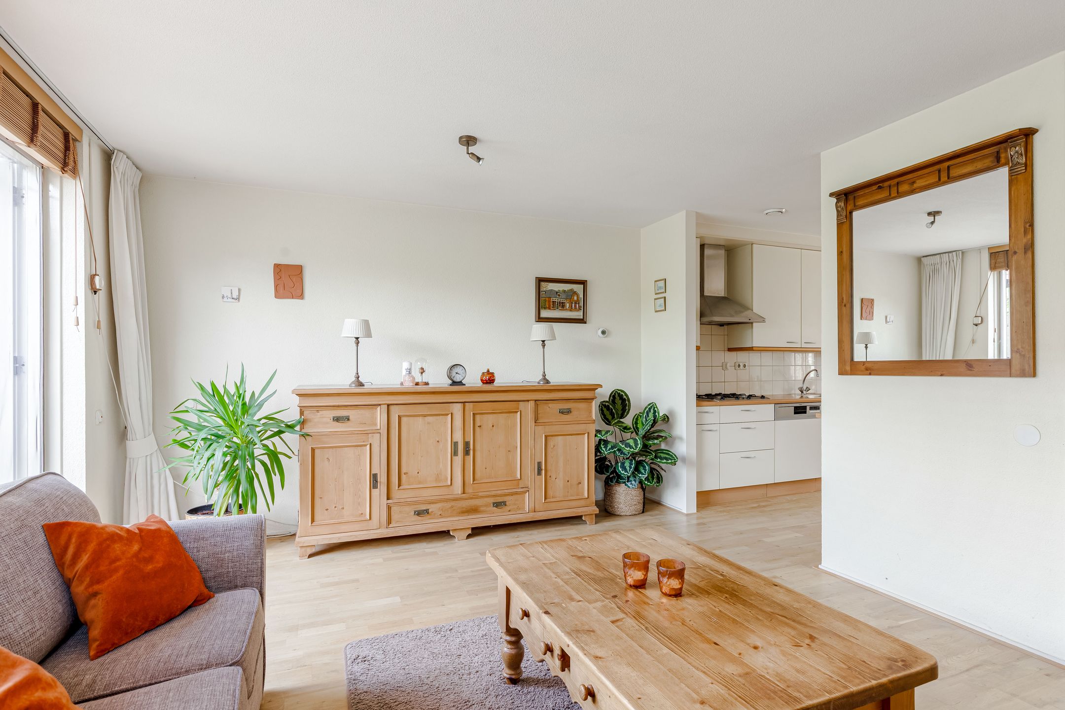 Foto 6 van Zeedistel 1