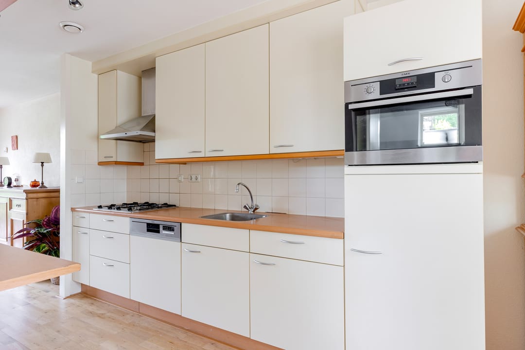 Foto 8 van Zeedistel 1