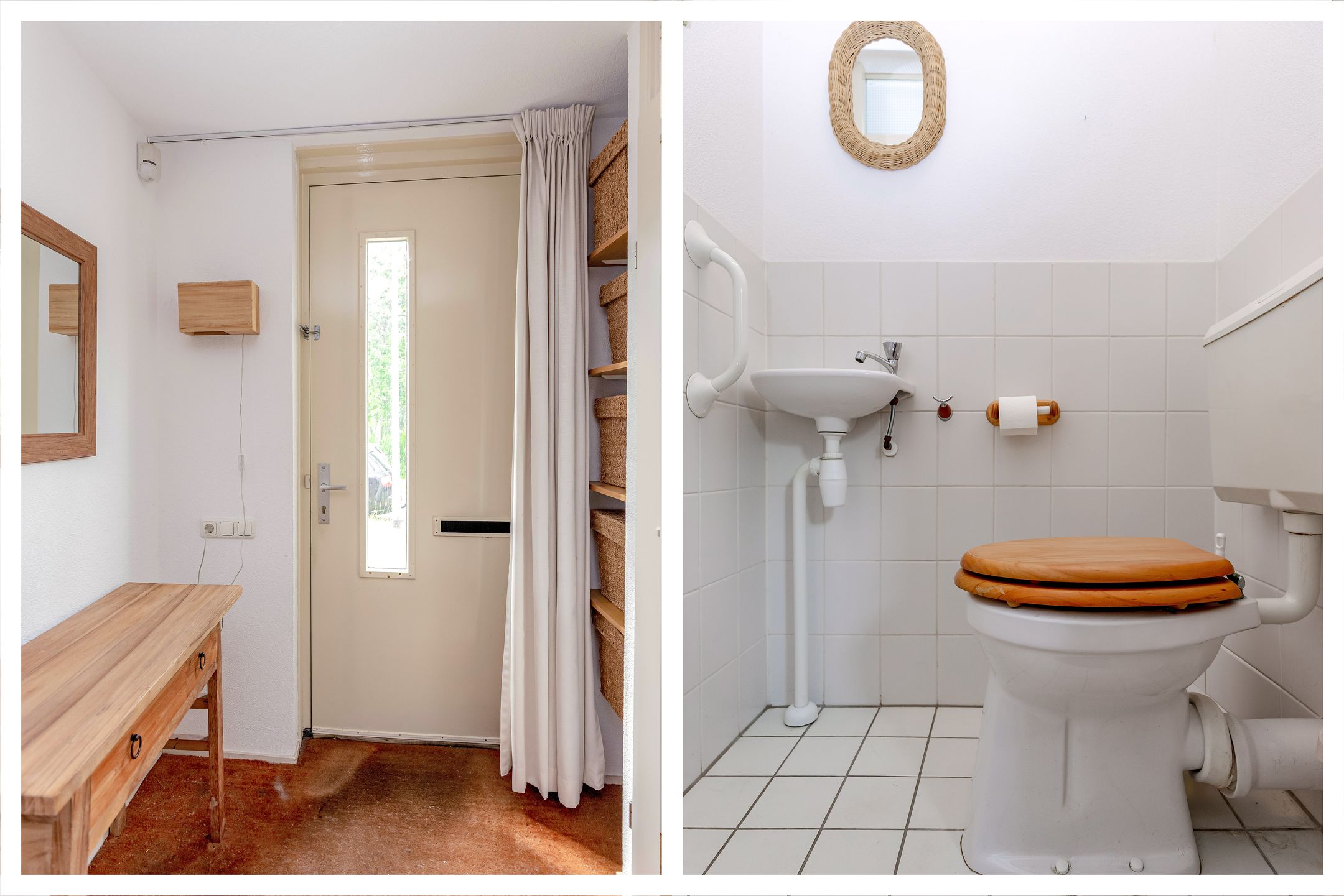 Foto 15 van Zeedistel 1