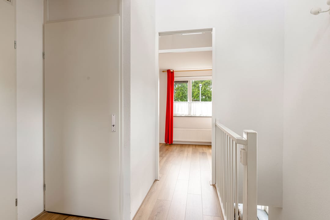 Foto 16 van Zeedistel 1