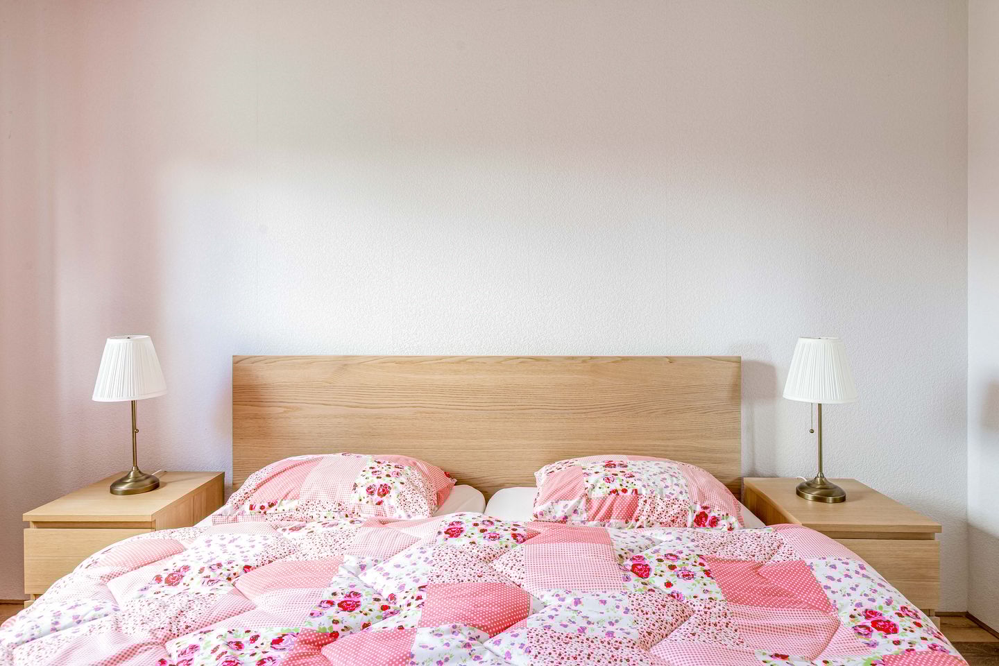 Foto 19 van Zeedistel 1