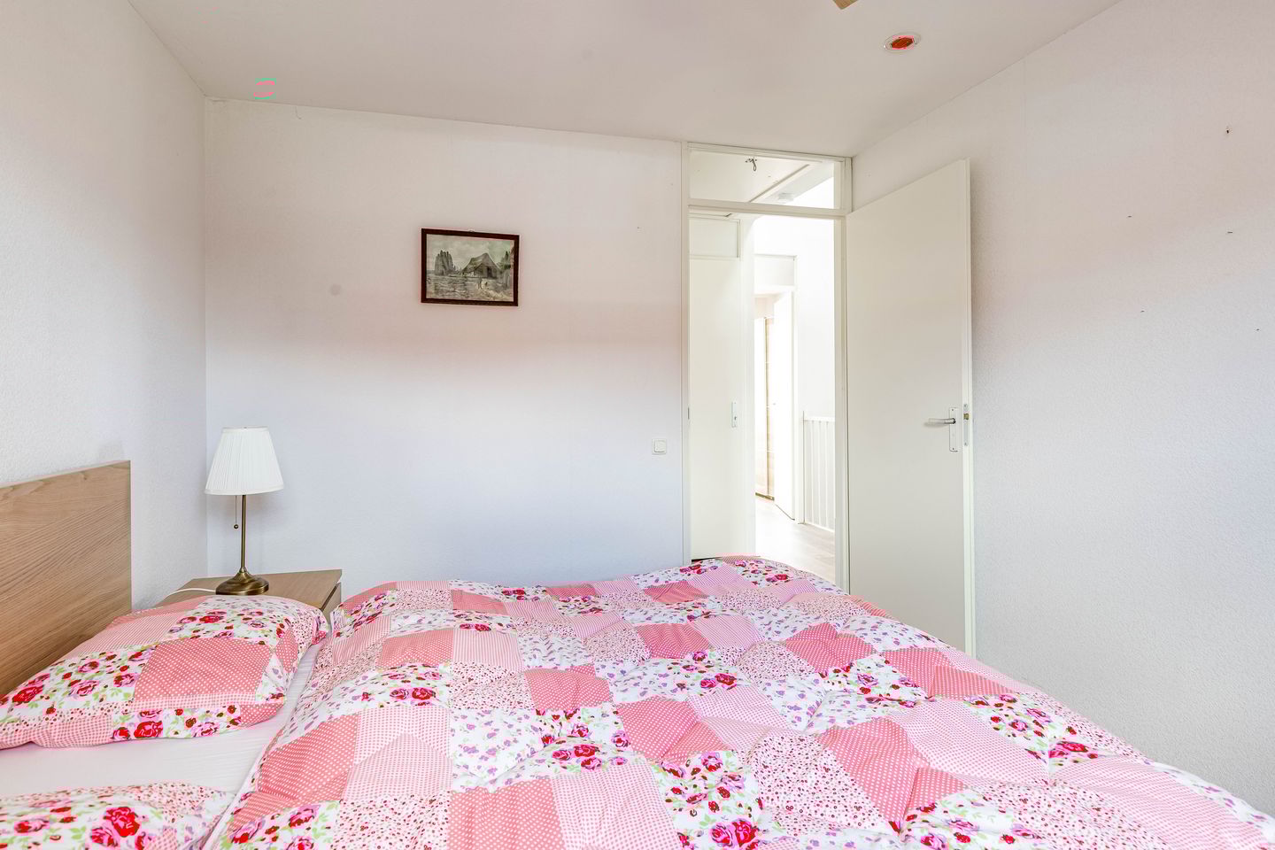 Foto 20 van Zeedistel 1