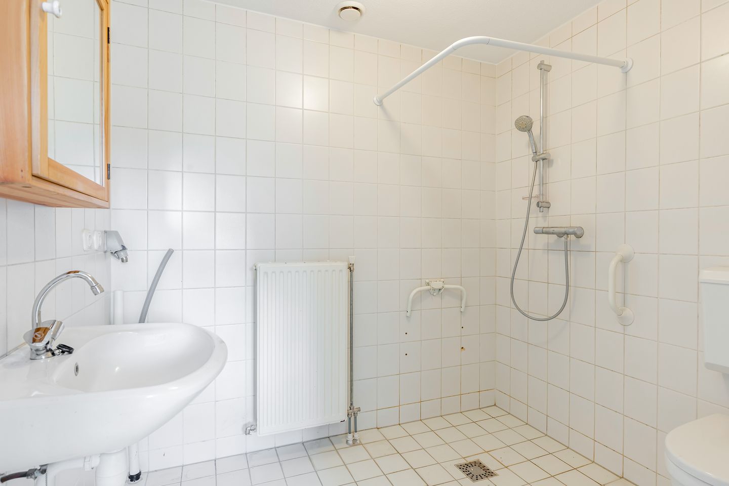 Foto 25 van Zeedistel 1