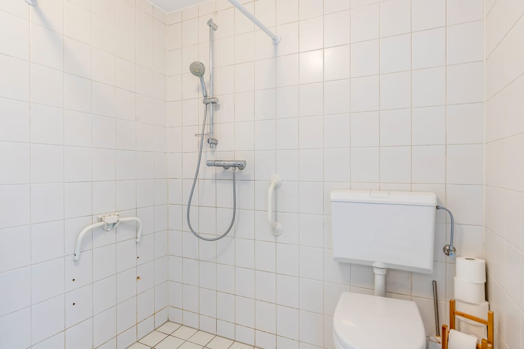 Foto 26 van Zeedistel 1