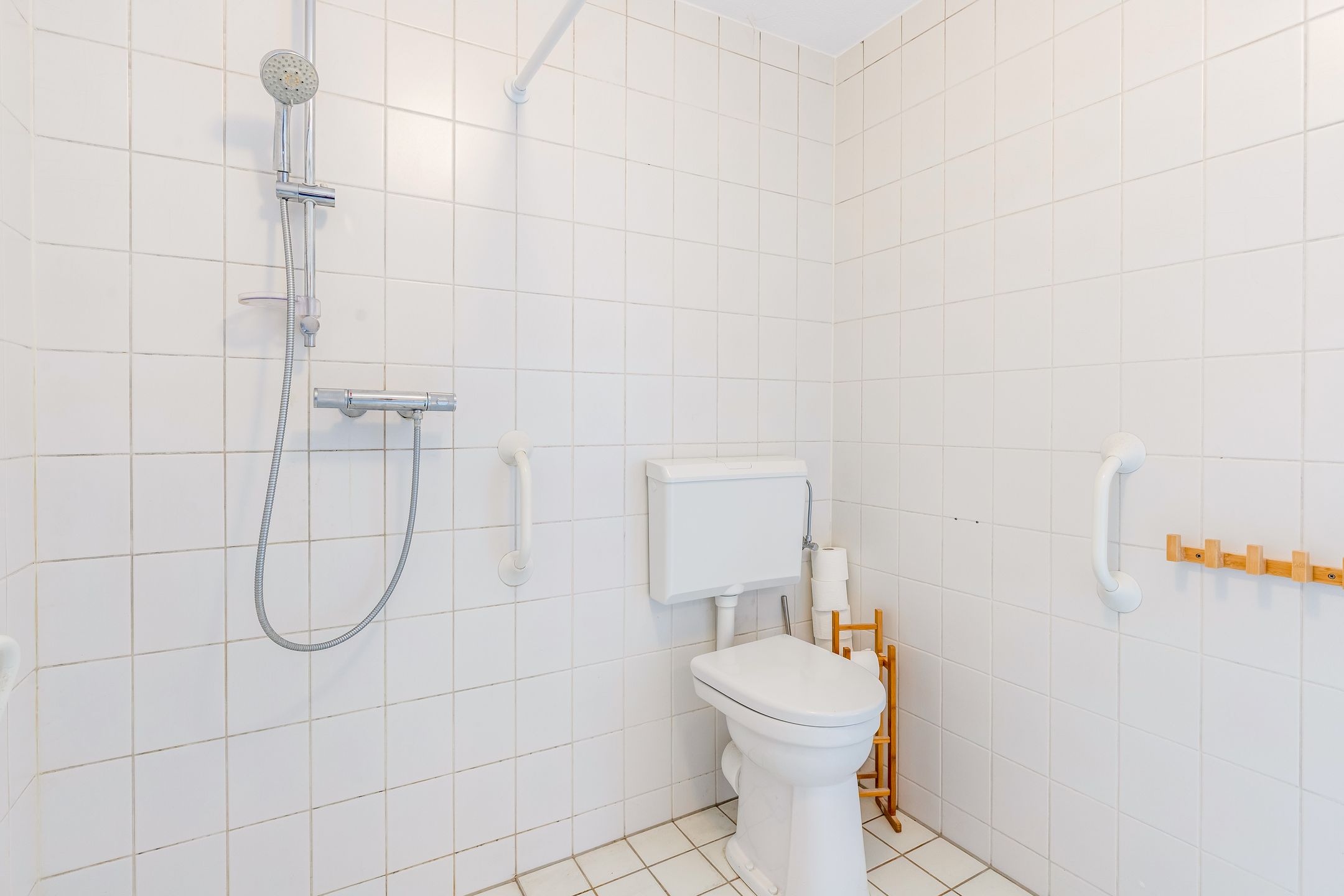 Foto 27 van Zeedistel 1