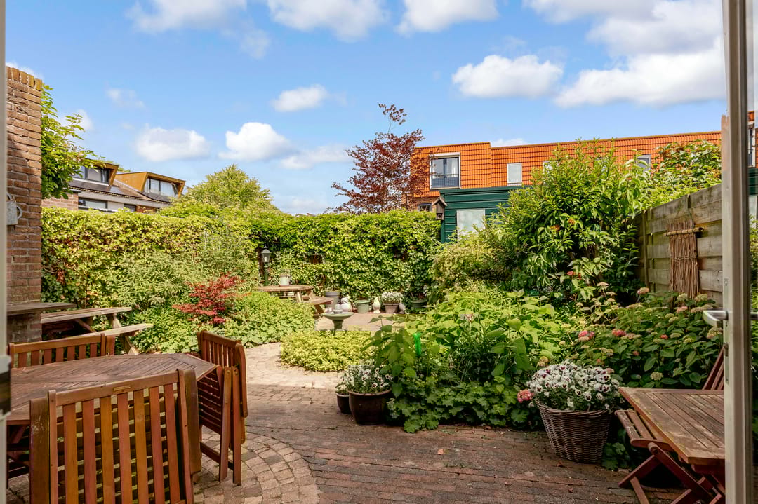 Foto 28 van Zeedistel 1